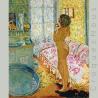 images/Galeries/Histoiredelart/1908-Bonnard-Nu-a-contre-jour.jpg